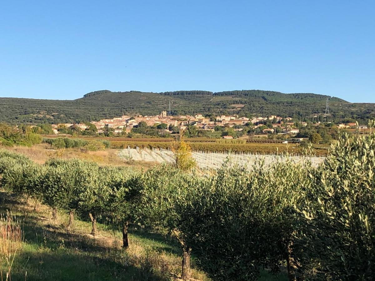 Val Des Bruyeres - Gite 15Mn Pezenas Avec Terrasse Et Cour Close - Parking Privatif Securise - Wifi Ftth Gratuit Neffies Zewnętrze zdjęcie