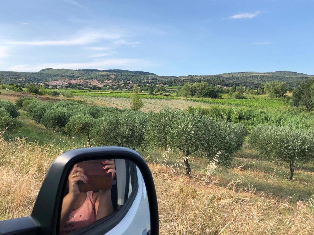 Val Des Bruyeres - Gite 15Mn Pezenas Avec Terrasse Et Cour Close - Parking Privatif Securise - Wifi Ftth Gratuit Neffies Zewnętrze zdjęcie