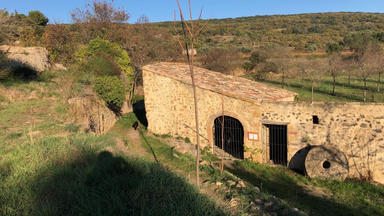 Val Des Bruyeres - Gite 15Mn Pezenas Avec Terrasse Et Cour Close - Parking Privatif Securise - Wifi Ftth Gratuit Neffies Zewnętrze zdjęcie